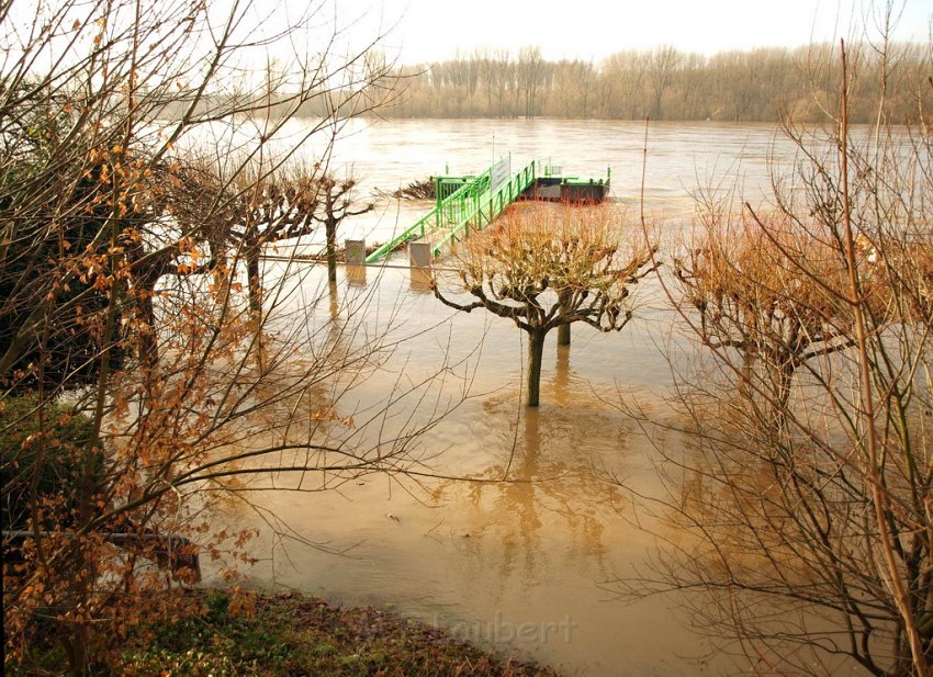 Hochwasser Koeln 2011 Tag 3 P077.JPG